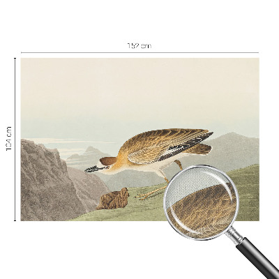 Peel and stick wall mural for living room with a mountain bird design