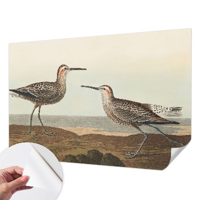 Removable wall mural Bird silhouettes