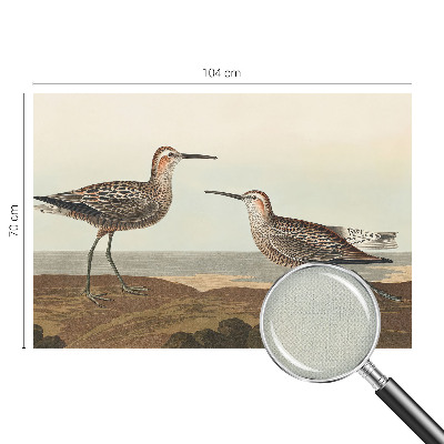 Removable wall mural featuring bird silhouettes