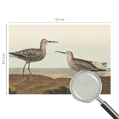 Removable wall mural featuring bird silhouettes