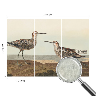 Removable wall mural featuring bird silhouettes