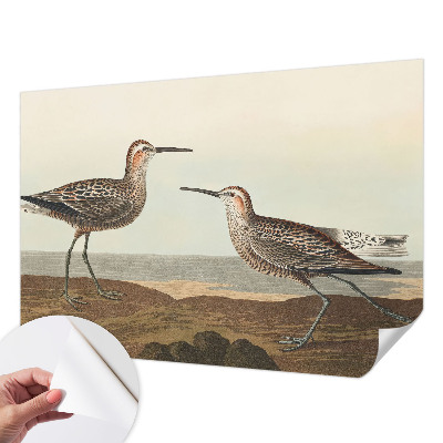 Removable wall mural Bird silhouettes