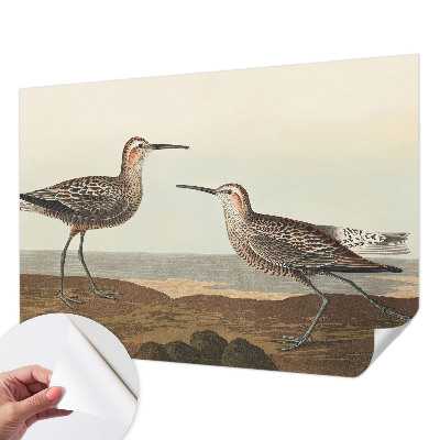 Removable wall mural featuring bird silhouettes