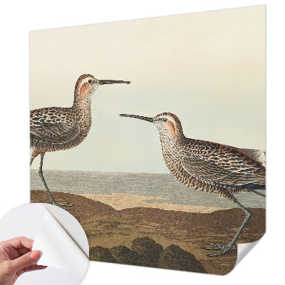 Removable wall mural featuring bird silhouettes