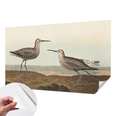 Removable wall mural Bird silhouettes