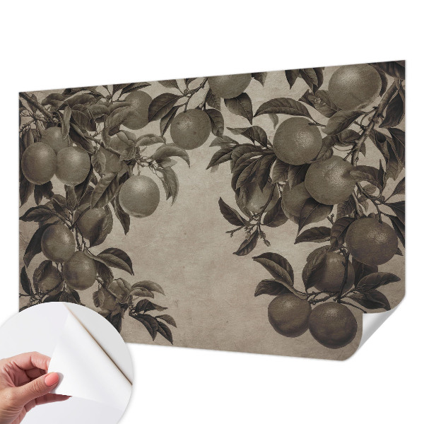 Self-adhesive photo wallpaper Fruit pattern