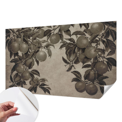 Self-adhesive photo wallpaper Fruit pattern