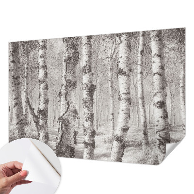 3D wall mural Birch forest