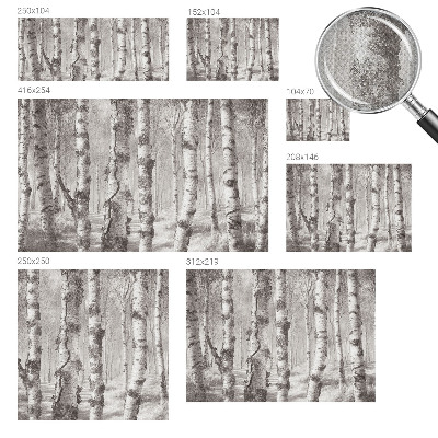 3D wall mural Birch forest