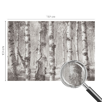3D wall mural with a birch forest motif