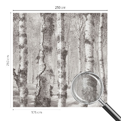 3D wall mural Birch forest