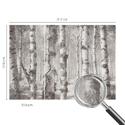 3D wall mural Birch forest
