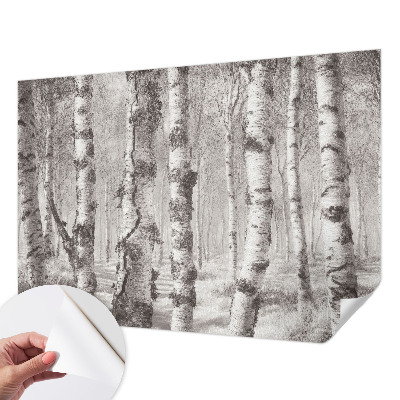 3D wall mural with a birch forest motif