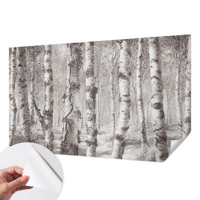 3D wall mural with a birch forest motif