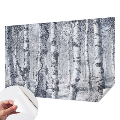 3D photo wallpaper mural with a frosty nature scene