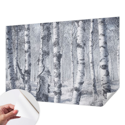 3D photo wallpaper mural with a frosty nature scene