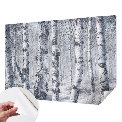 3D photo wallpaper mural with a frosty nature scene