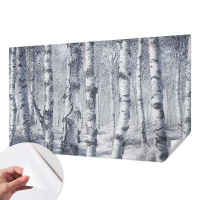 3D photo wallpaper mural with a frosty nature scene