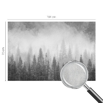 Peel and stick wall mural for living room with a misty forest scene