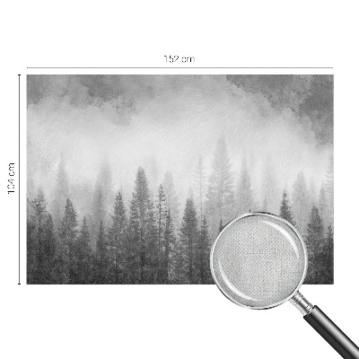 Peel and stick wall mural for living room with a misty forest scene
