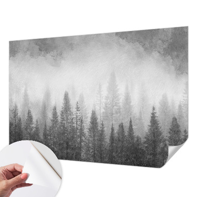 Peel and stick wall mural for living room with a misty forest scene