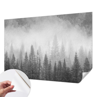 Peel and stick wall mural for living room with a misty forest scene