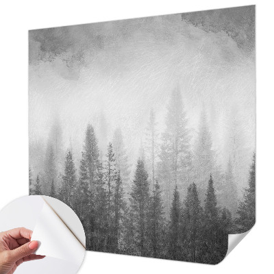 Peel and stick wall mural for living room with a misty forest scene