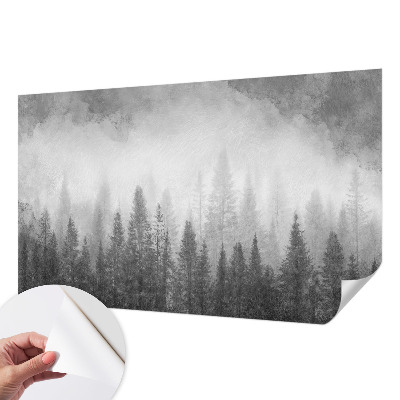 Peel and stick wall mural for living room with a misty forest scene