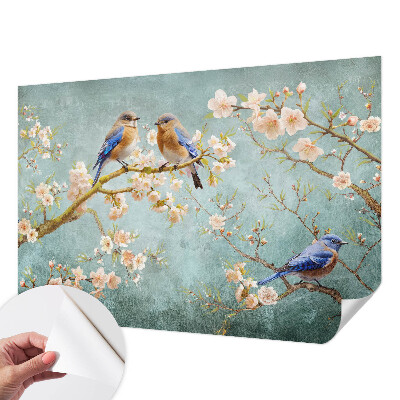 Peel and stick wall mural for kids' room with a spring birds design