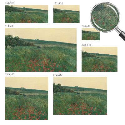 Children's wall mural with a poppy fields design