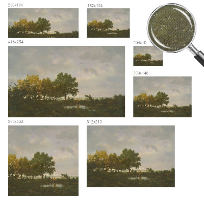 Peel and stick wall mural featuring a forest landscape