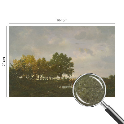 Peel and stick wall mural Forest landscape