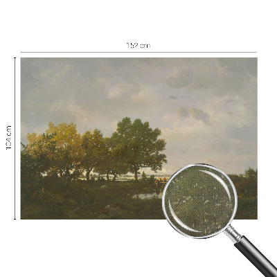 Peel and stick wall mural featuring a forest landscape
