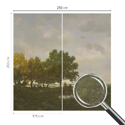 Peel and stick wall mural Forest landscape