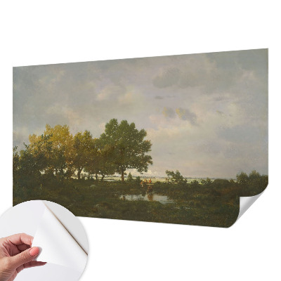 Peel and stick wall mural featuring a forest landscape