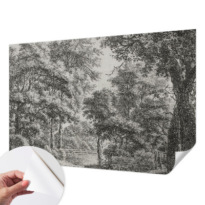 Removable wall mural with a forest scenery design