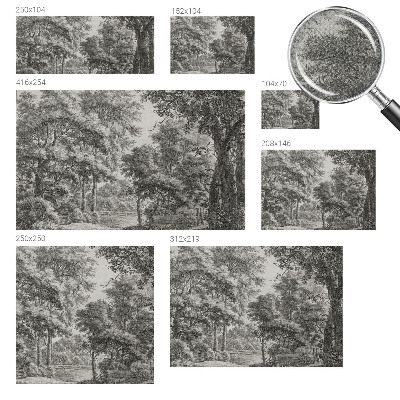 Removable wall mural with a forest scenery design