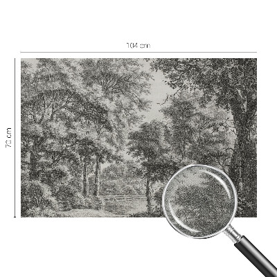 Removable wall mural with a forest scenery design