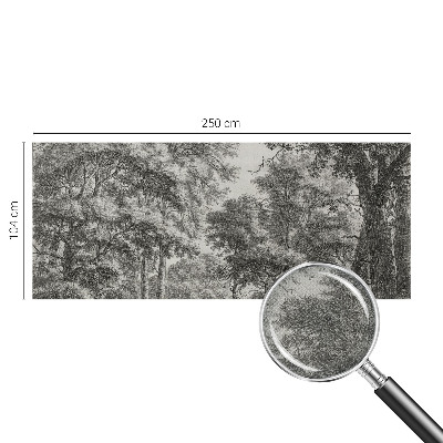 Removable wall mural Forest scenery