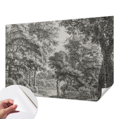 Removable wall mural with a forest scenery design