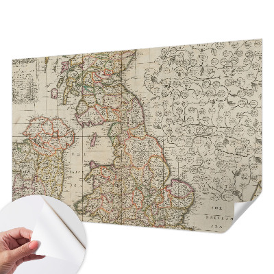 Peel and stick wall mural with an antique map design