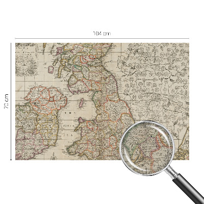 Peel and stick wall mural with an antique map design