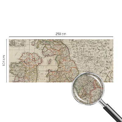 Peel and stick wall mural Antique map
