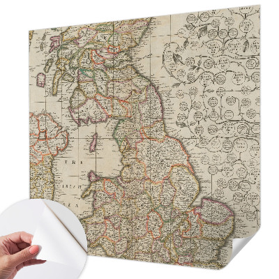 Peel and stick wall mural with an antique map design
