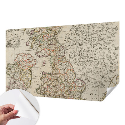 Peel and stick wall mural with an antique map design