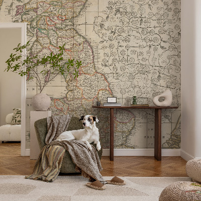 Peel and stick wall mural with an antique map design