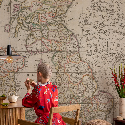Peel and stick wall mural with an antique map design