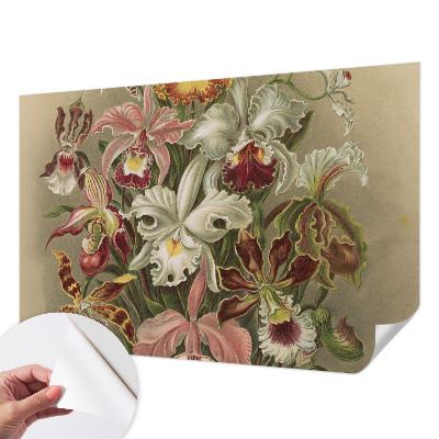 Removable wall mural with a floral elegance design