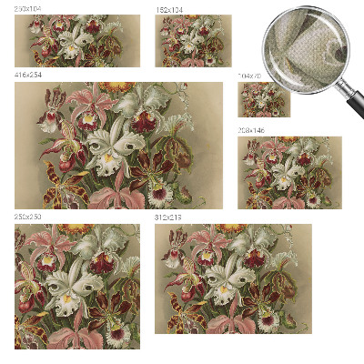Removable wall mural Floral elegance