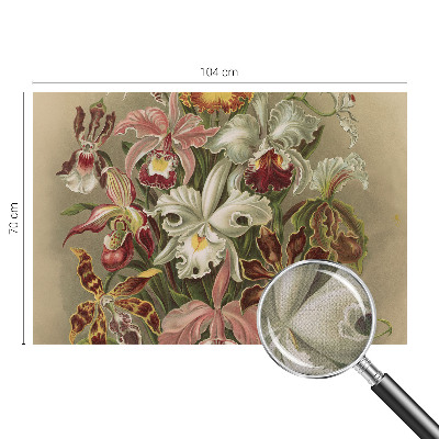 Removable wall mural Floral elegance